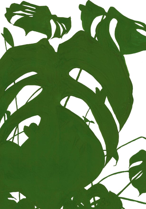 Quadro Monstera I