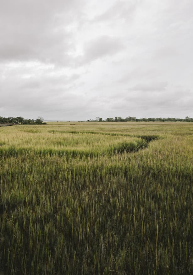 Quadro Lowcountry Marshlands