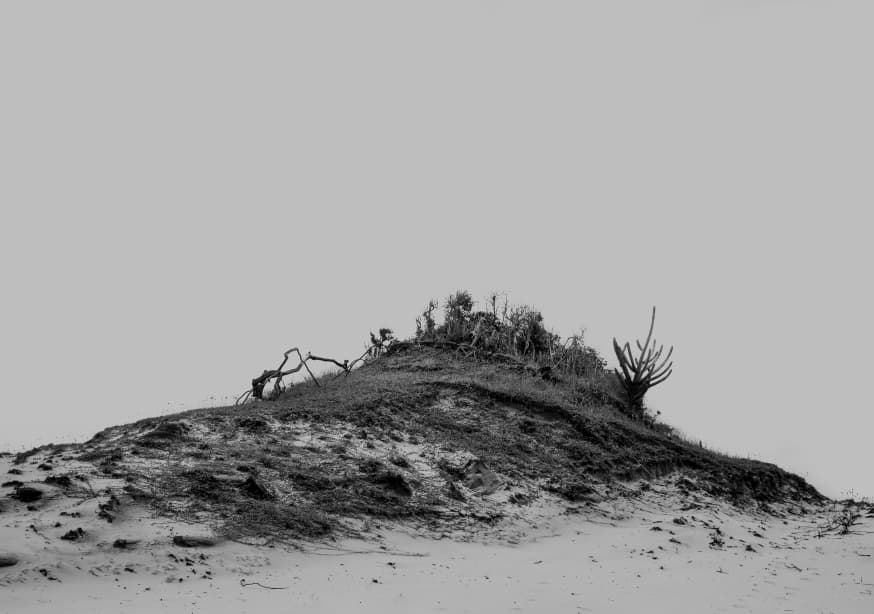 Quadro Deserto (1)