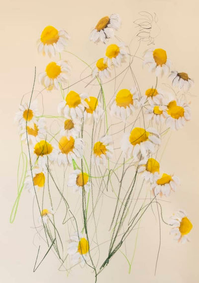 Imagem padrão da coleção Minimalismo