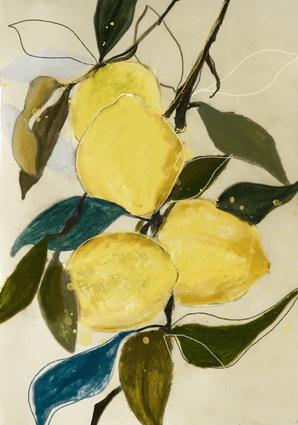 Quadro Lemon Study 1