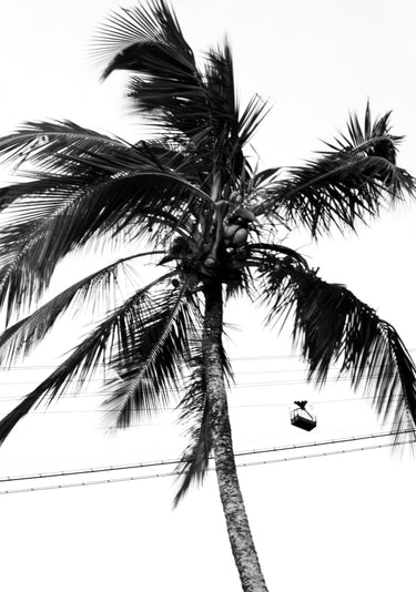 Quadro Urca #3