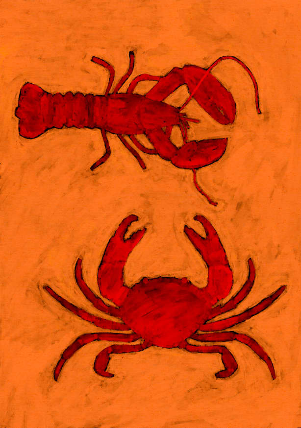 Quadro Coastal creatures