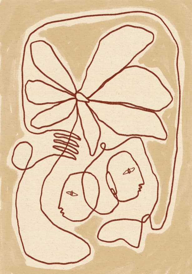 Quadro Soft Connection