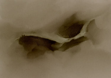 Quadro Free Form 9