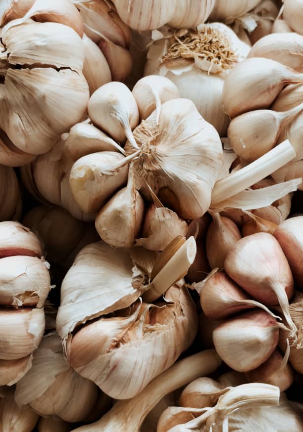 Quadro Kitchen Essentials Garlic