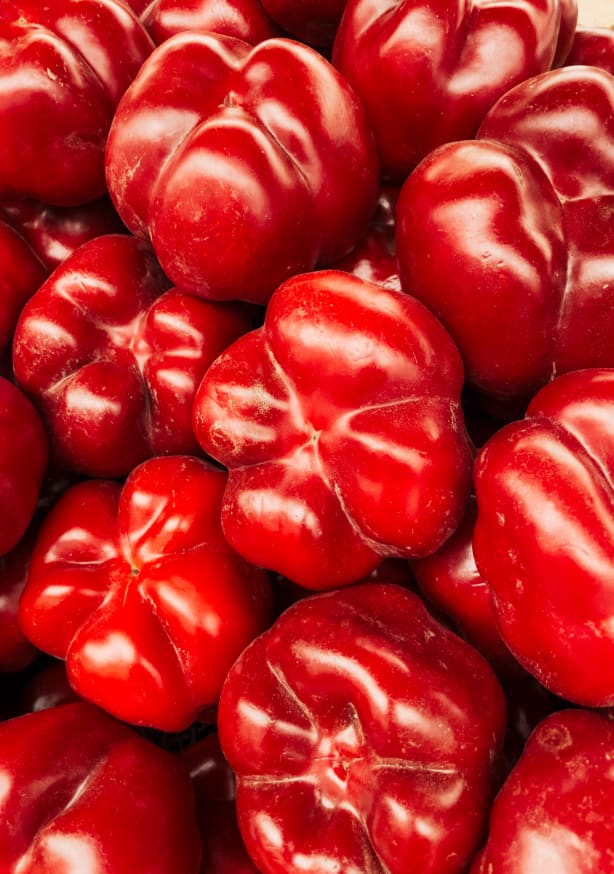 Quadro Paprika Love