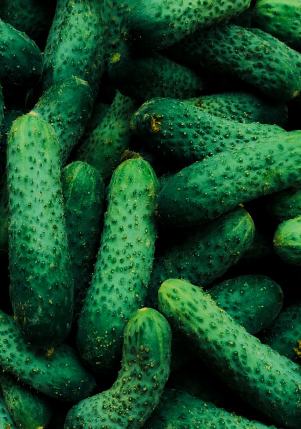 Quadro Pickles