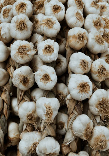 Quadro So Much Garlic