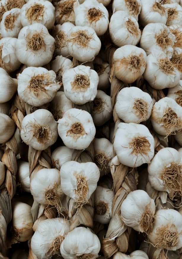 Quadro So Much Garlic