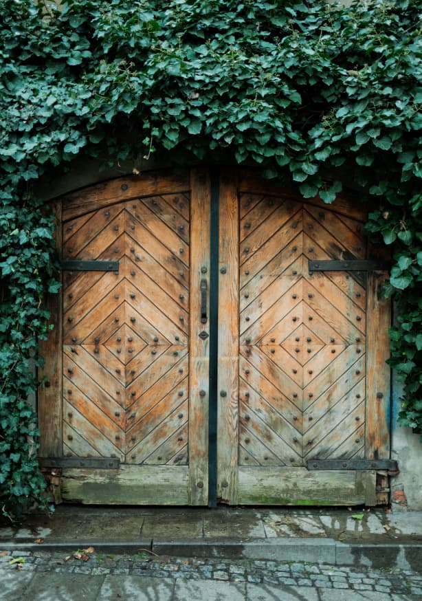 Quadro The Door