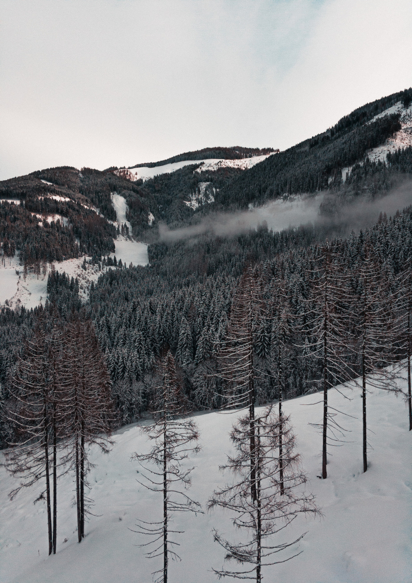 Quadro A Calm Winter's Day