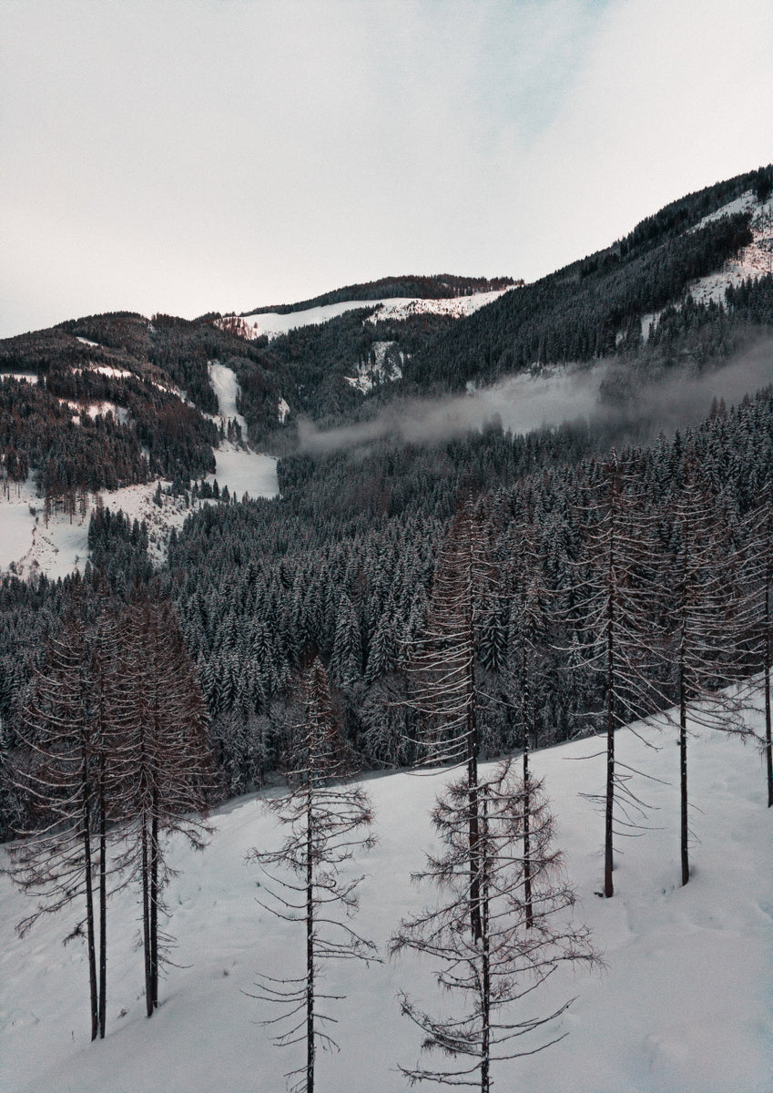 Quadro A Calm Winter's Day