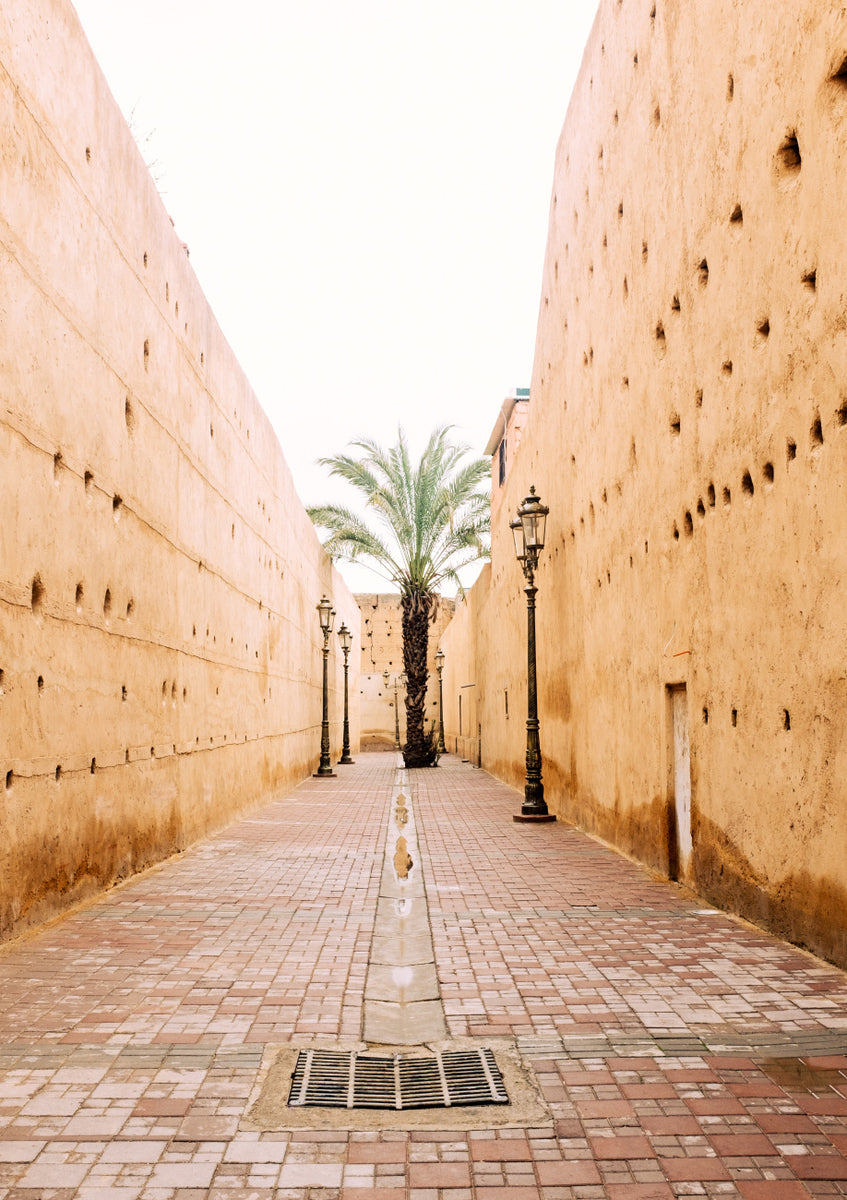 Quadro Alley Palm Tree