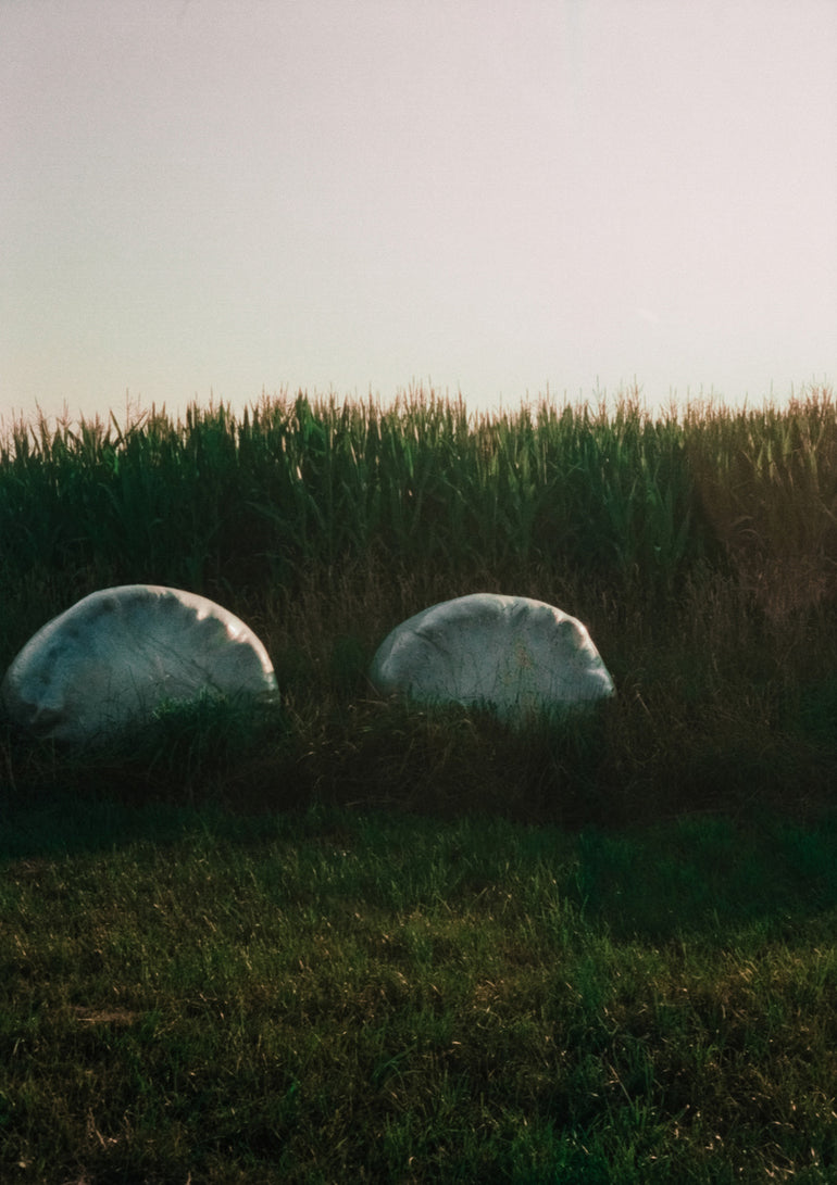 Quadro Analog Series Fields at Sundown