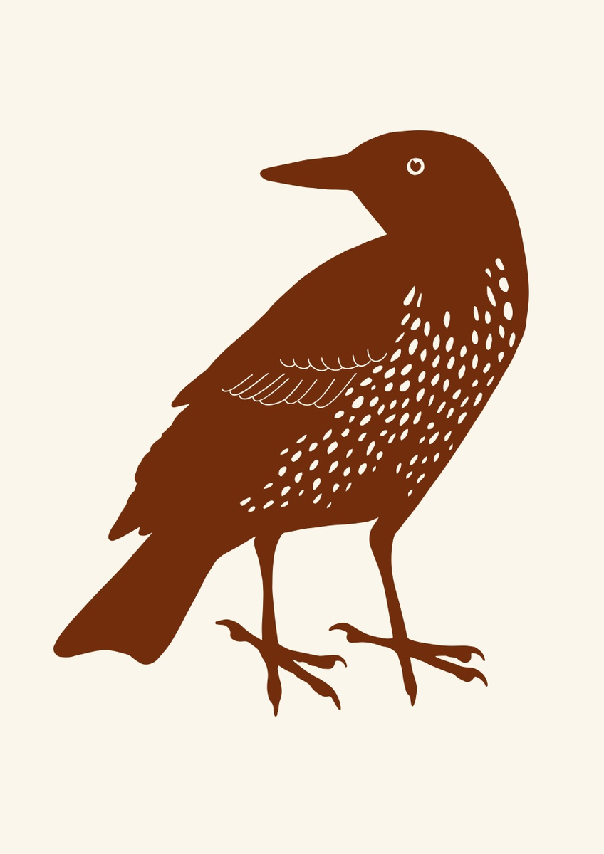 Quadro Bird