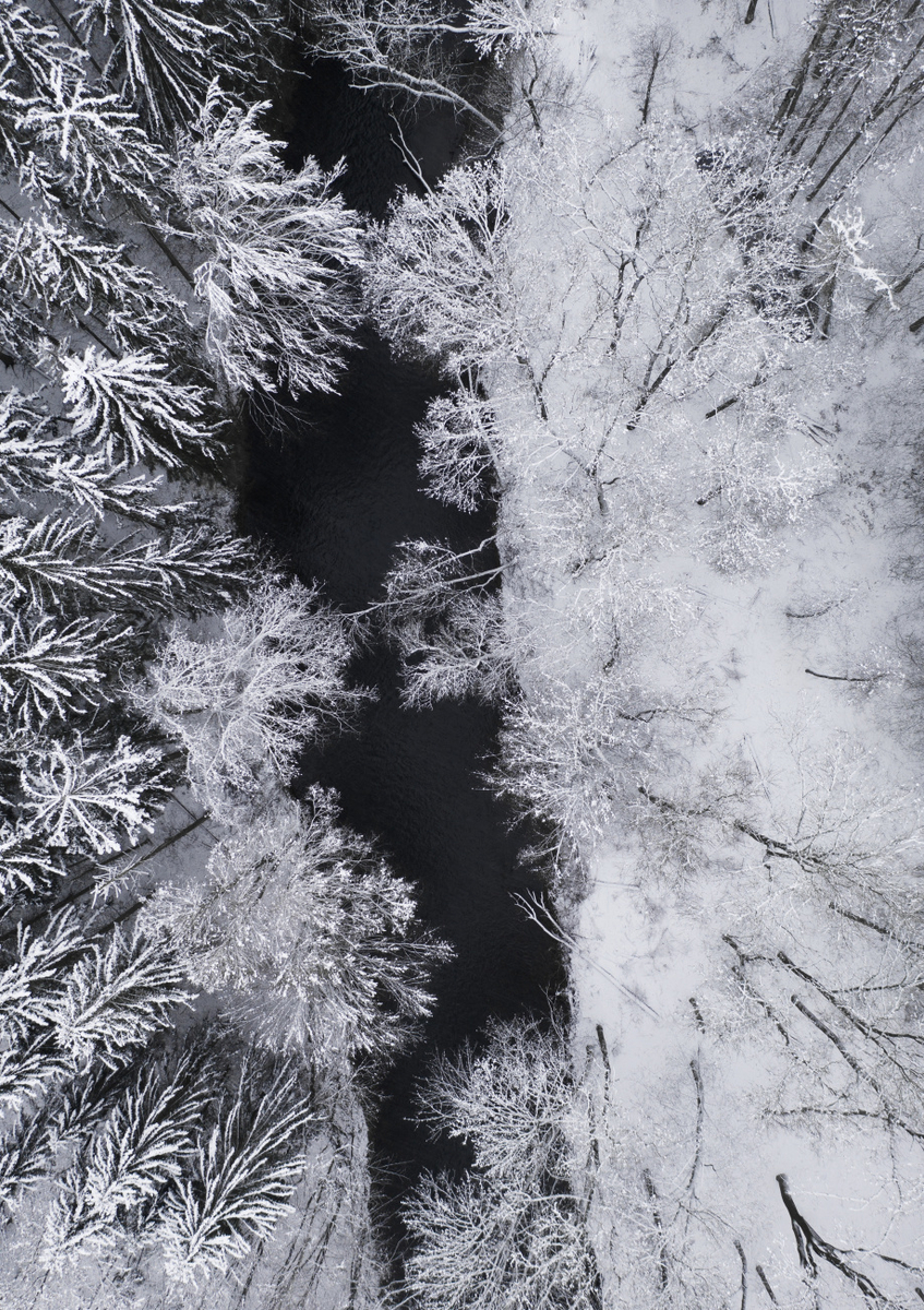 Quadro Black River Through the Snowy Winter Forest