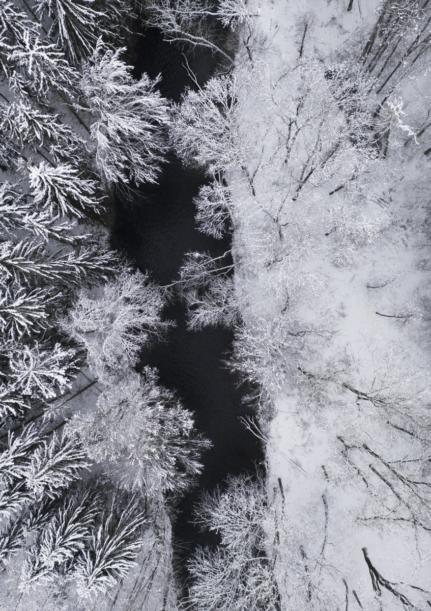 Quadro Black River Through the Snowy Winter Forest