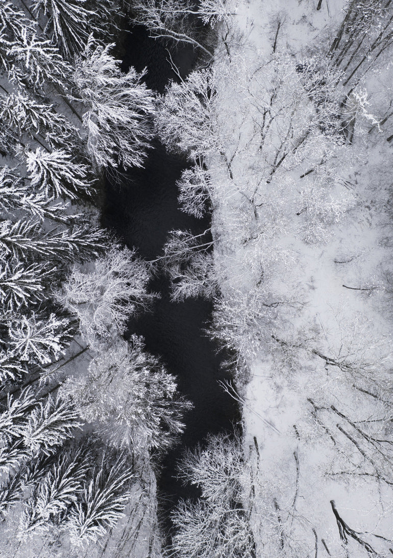 Quadro Black River Through the Snowy Winter Forest