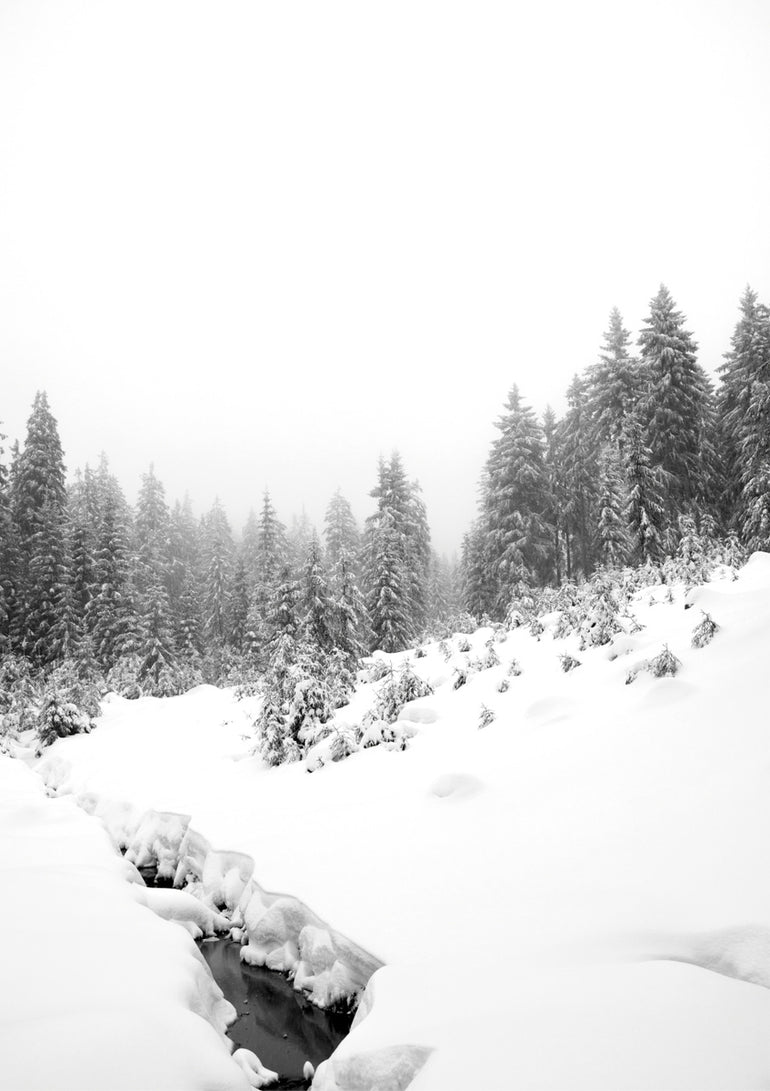Quadro Black River White Winter Forest