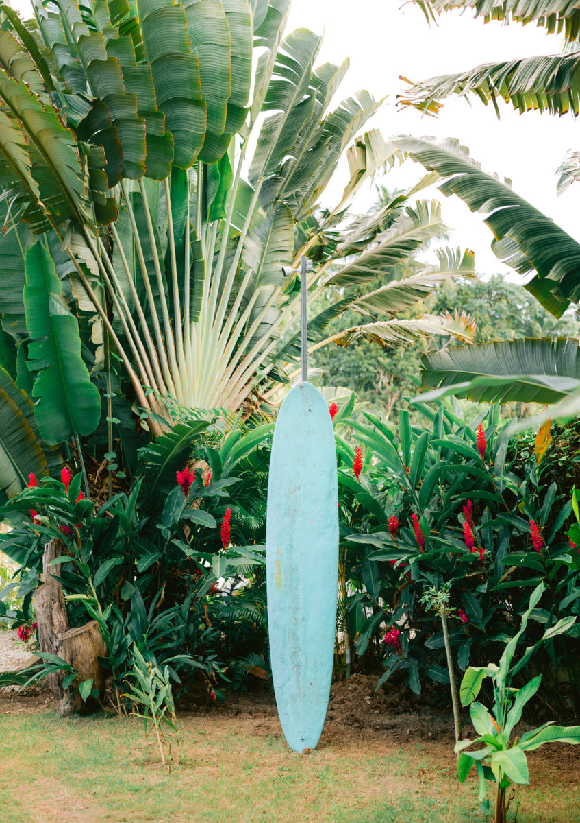 Quadro Blue Surfboard