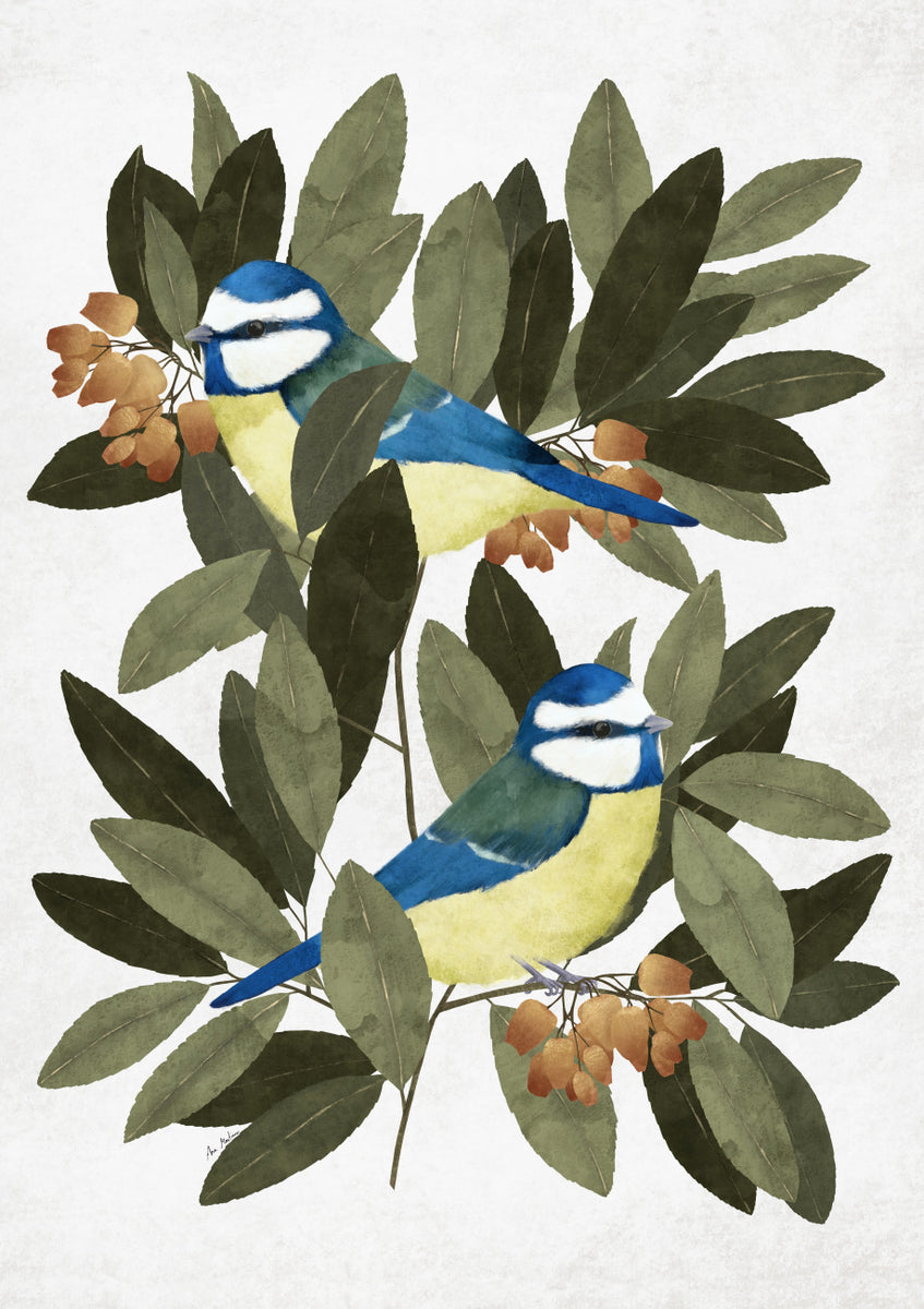 Quadro Blue Tit