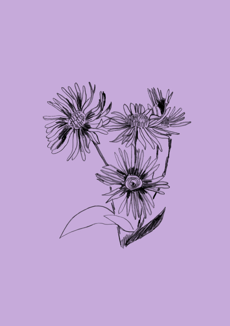Quadro Bouquet