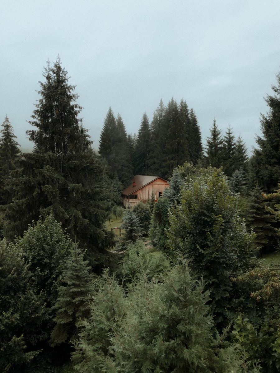 Quadro Cabin in the Woods