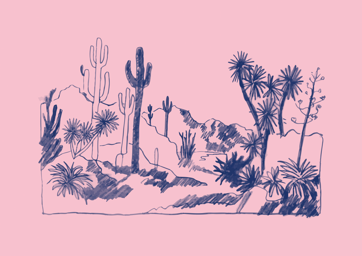 Quadro Cactus Etc