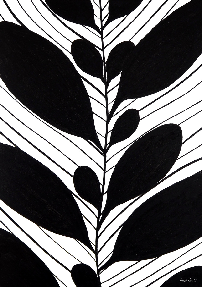 Quadro Calathea Makoyana Peb