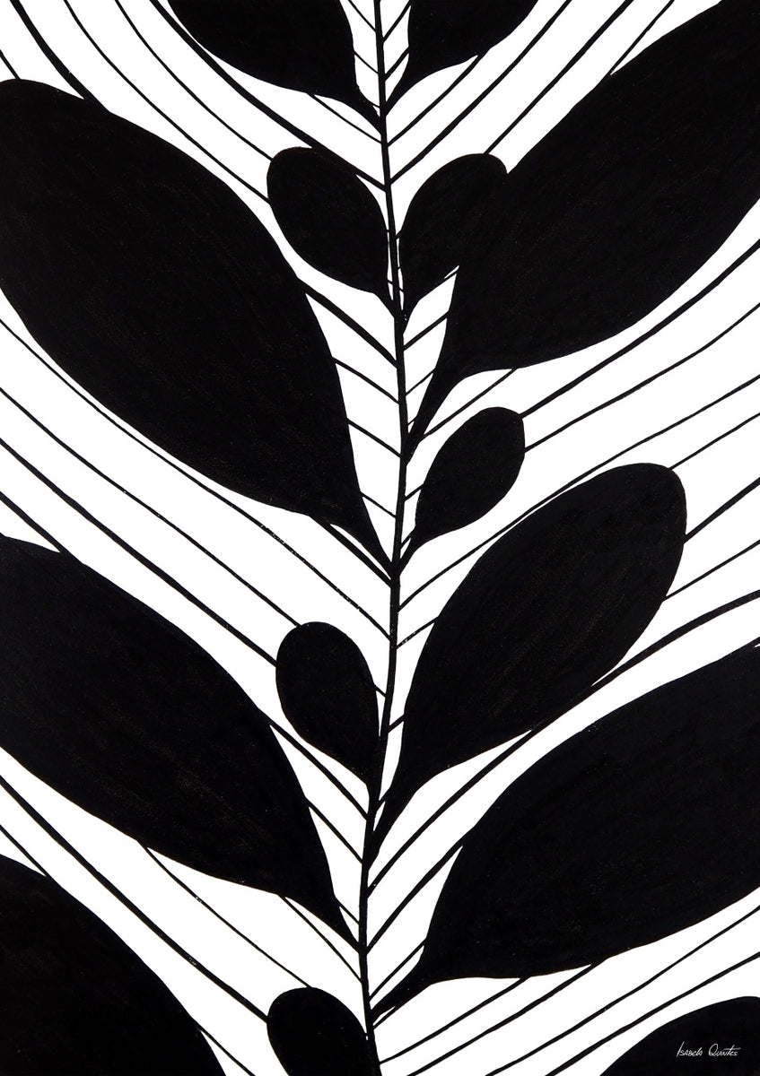 Quadro Calathea Makoyana Peb