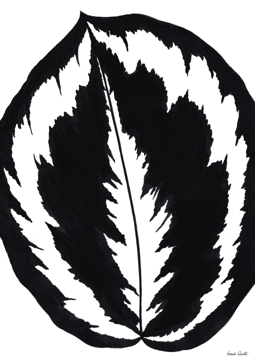 Quadro Calathea Medallion Peb