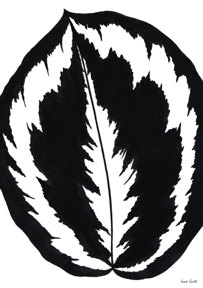 Quadro Calathea Medallion Peb