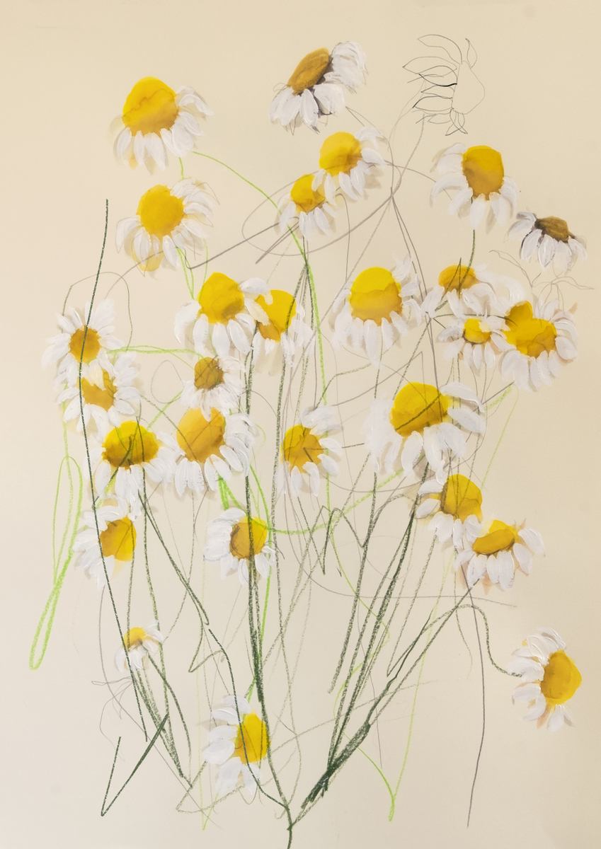 Quadro Chamomile 01