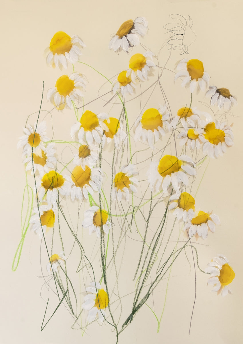 Quadro Chamomile 01