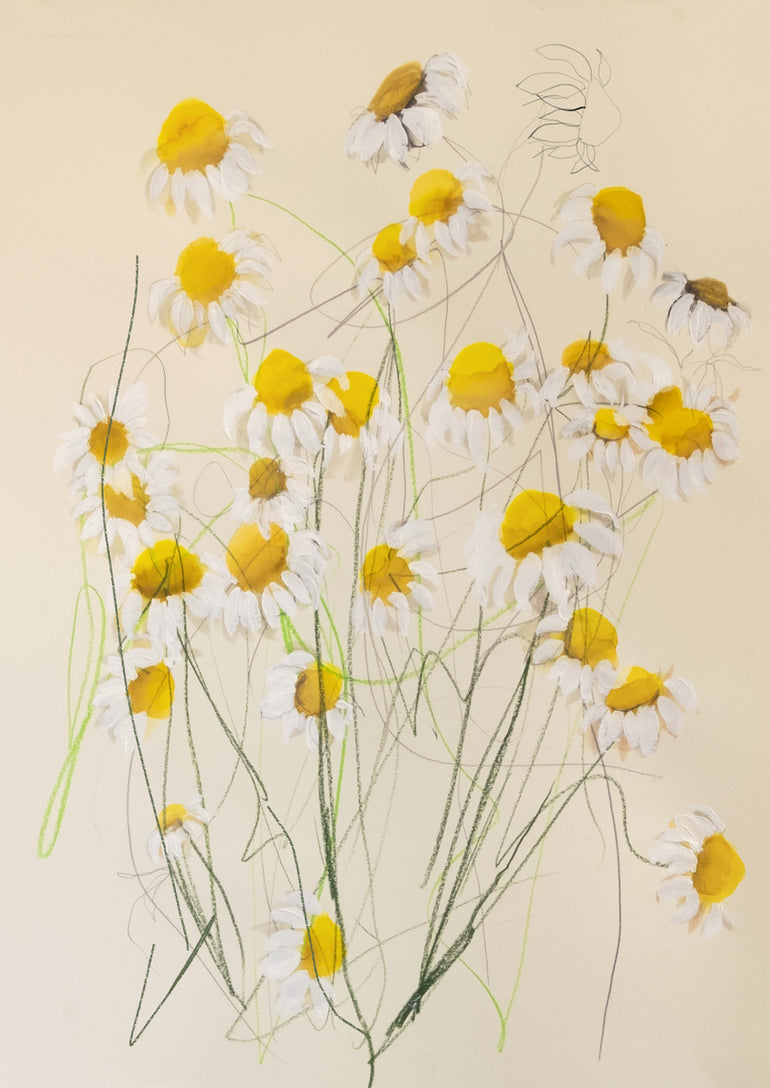 Quadro Chamomile 01