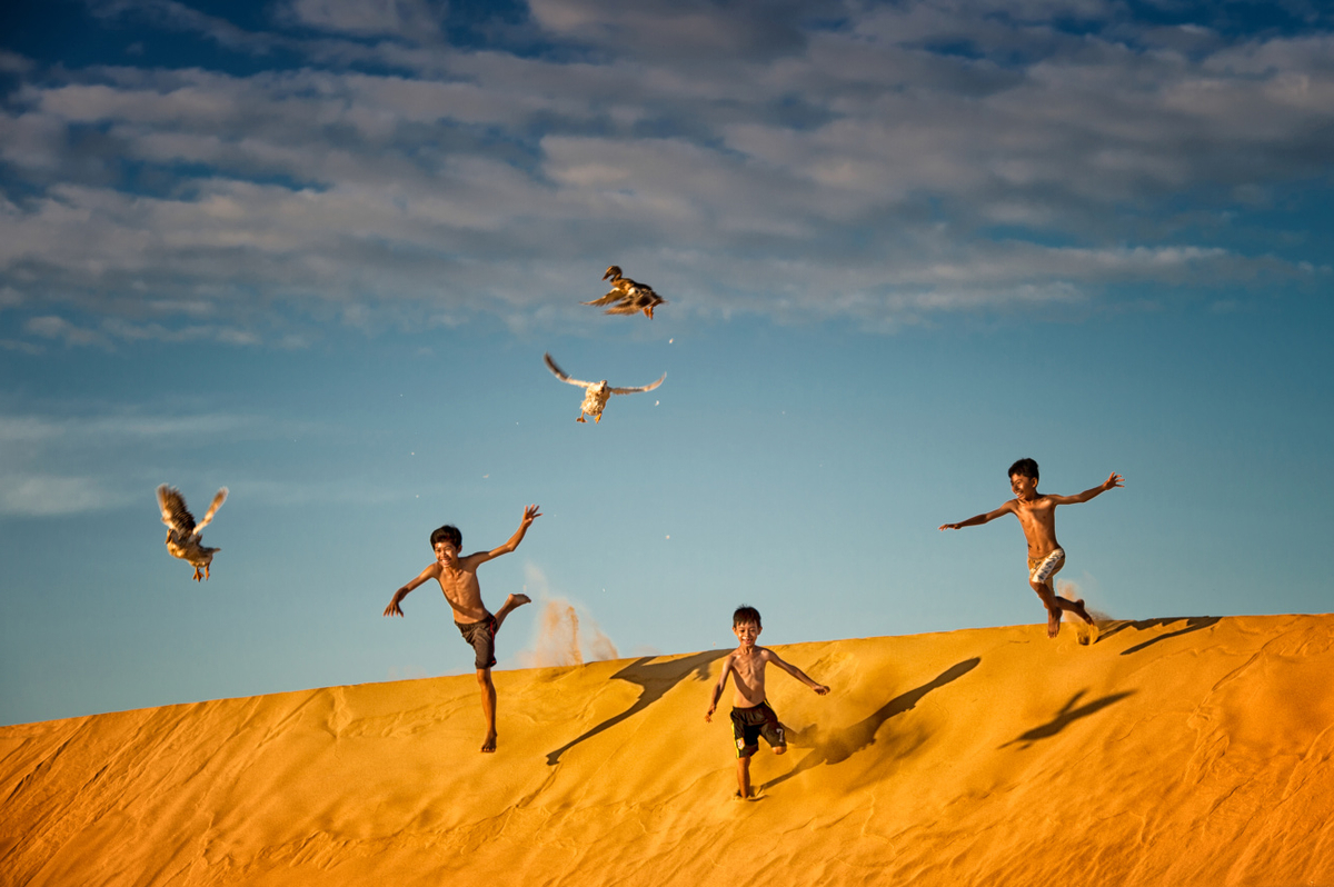 Quadro Chasing Ducks By Burak Senbak