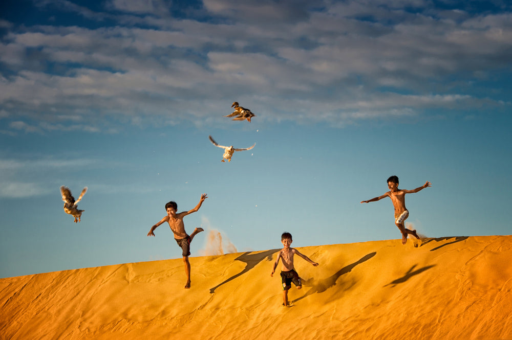 Quadro Chasing Ducks By Burak Senbak