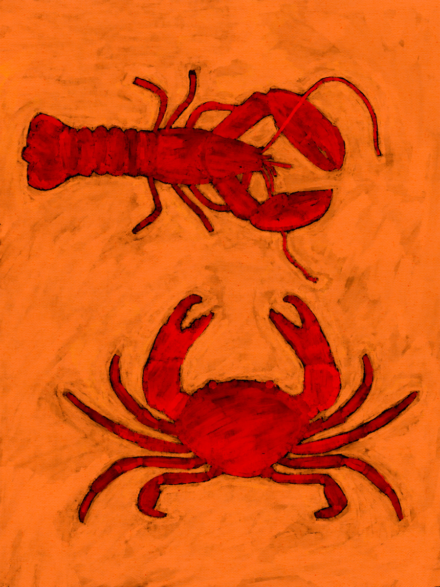 Quadro Coastal creatures