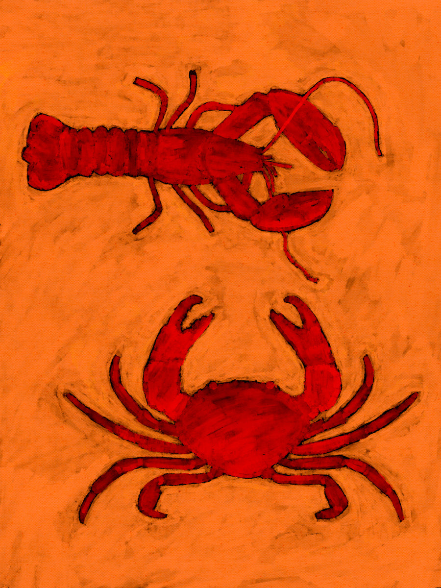 Quadro Coastal creatures