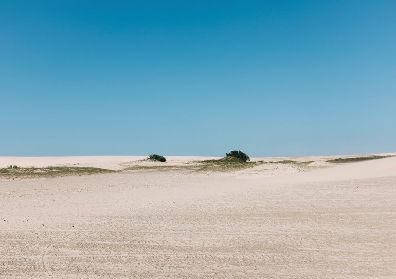 Quadro Desert Green