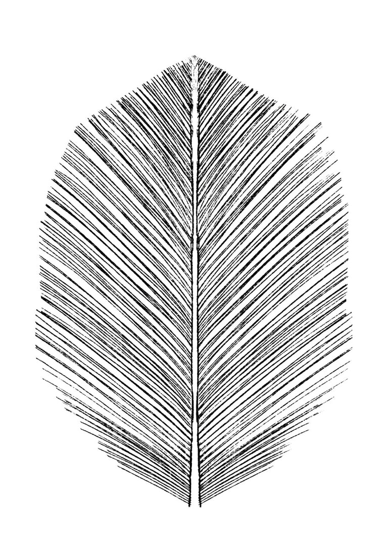 Quadro Drawn Feather