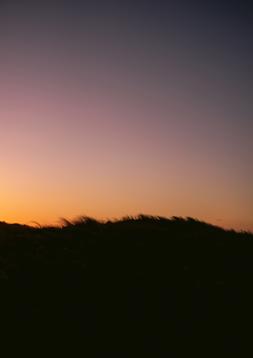 Quadro Dune Grass Sunset