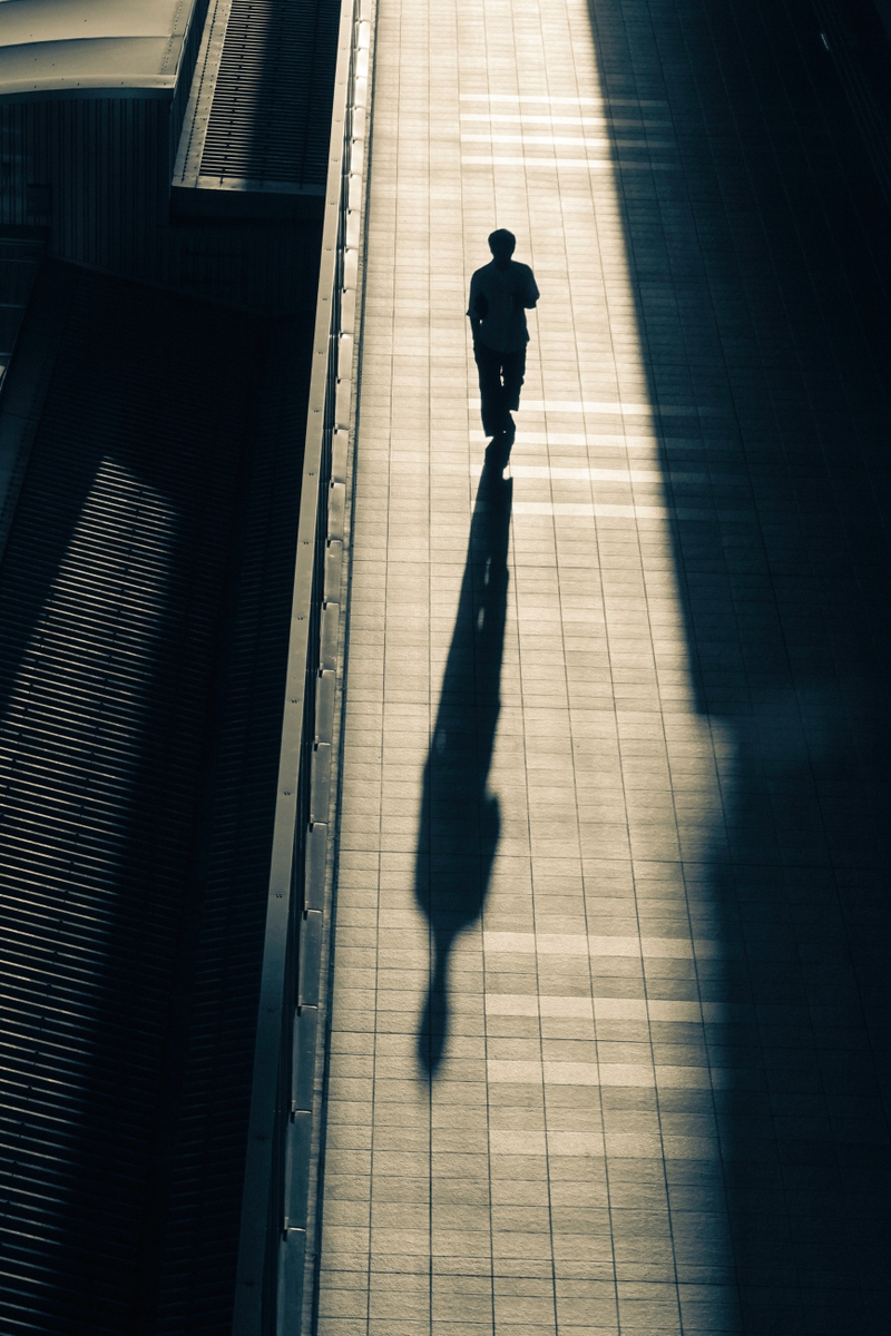 Quadro Dusk Shadow
