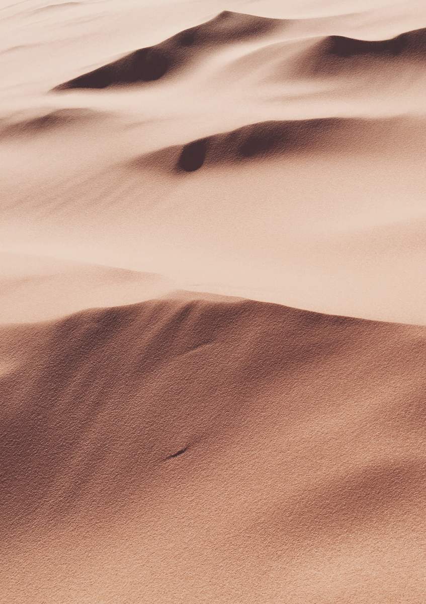Quadro Earthy Dunes