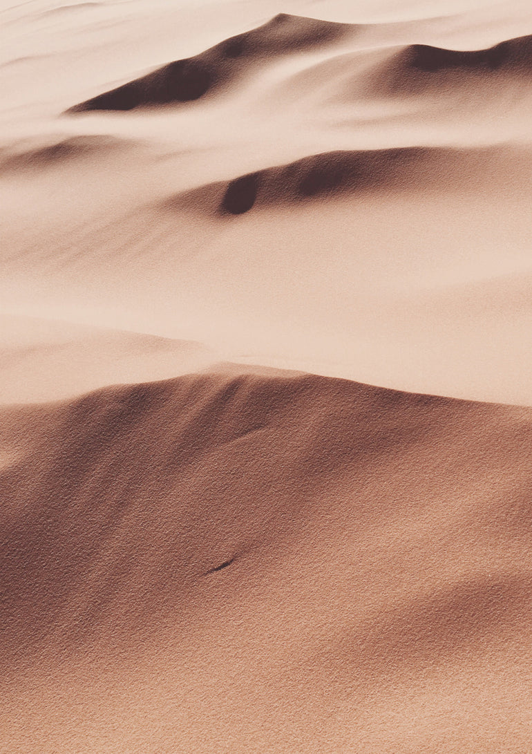 Quadro Earthy Dunes