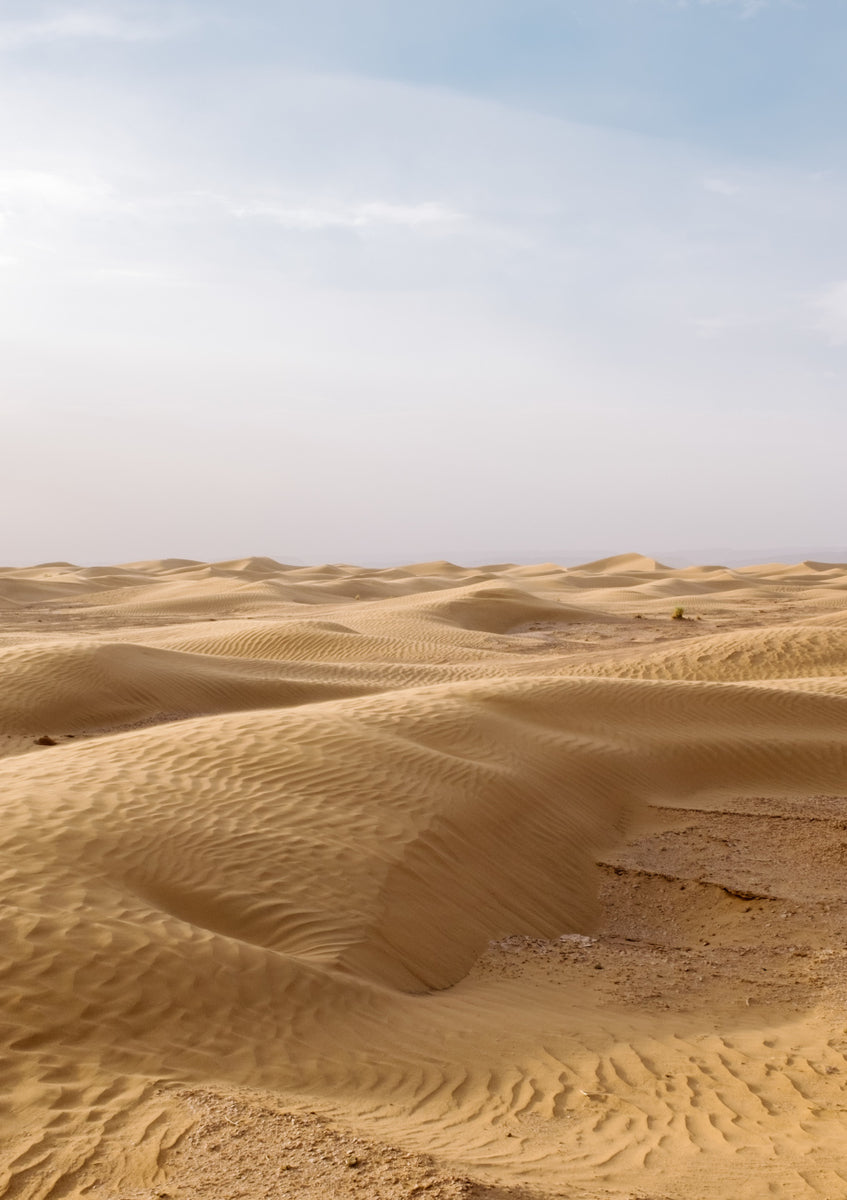 Quadro Endless Dunes