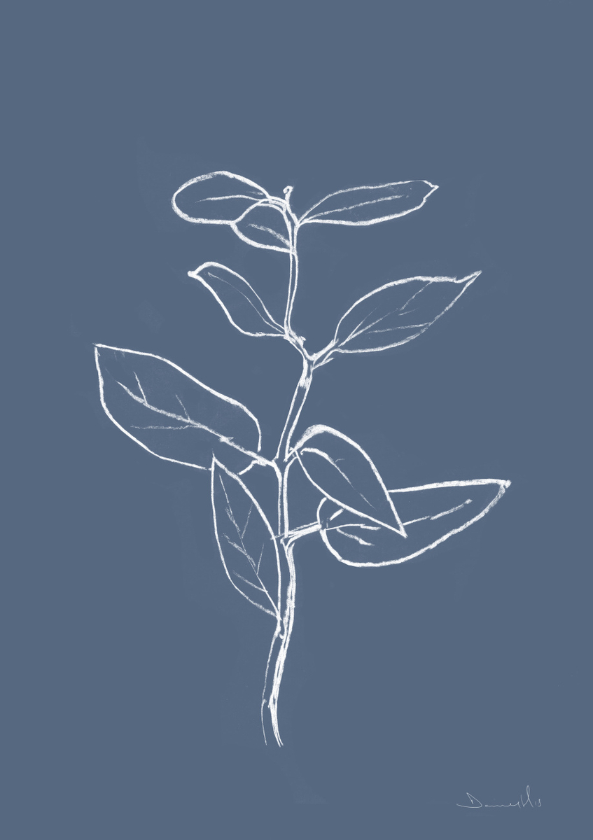 Quadro Eucalyptus Sapling