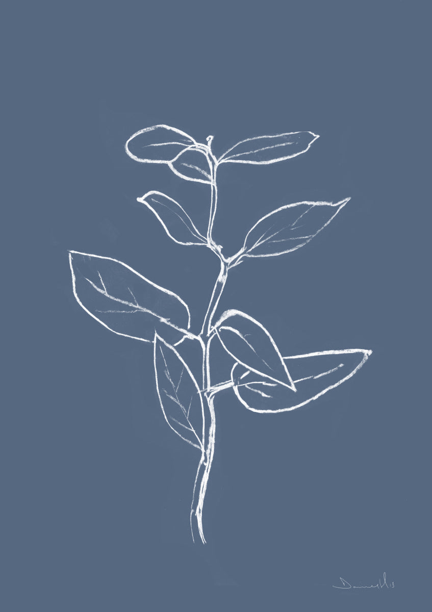Quadro Eucalyptus Sapling