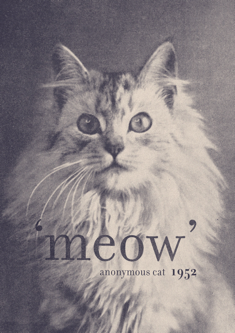 Quadro Famous Quote Cat